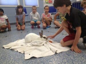 Kid & Rabbit
