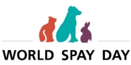 spay day logo