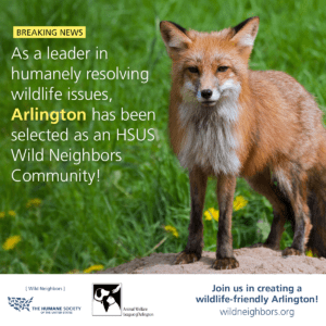 fb-wild-neighbors-Arlington-051016