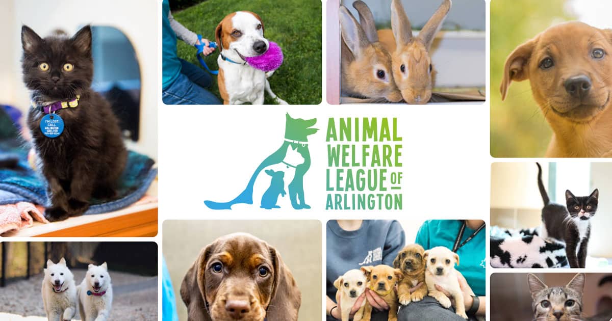 Animal Welfare League of Arlington - All in For Animals Animal Welfare League of Arlington - All in For Animals