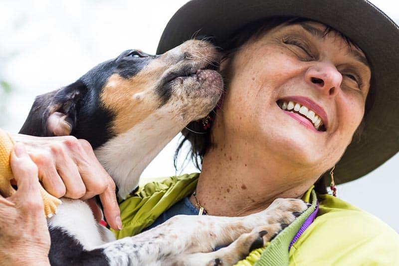 dog-licking-face dog-licking-face
