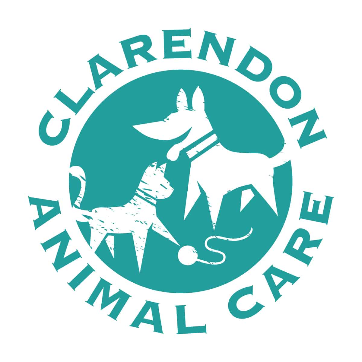 ClarendonAnimalCare_Logo_Teal-01