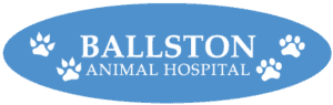 ballston-logo ballston-logo