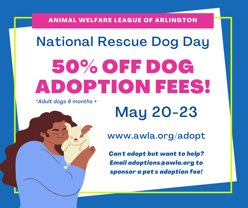 National Rescue Dog Day Adoption Event Animal Welfare League of Arlington