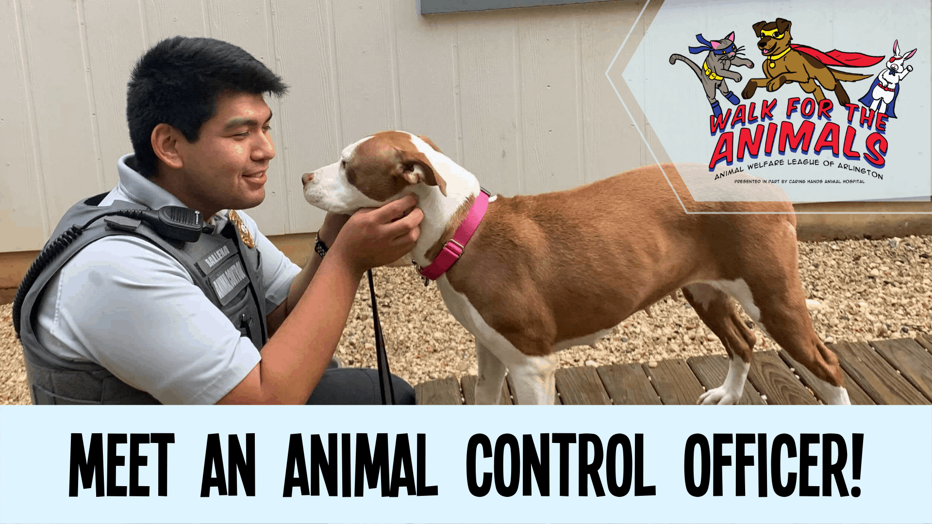 Walk for the Animals Meet an ACO! Animal Welfare League of Arlington