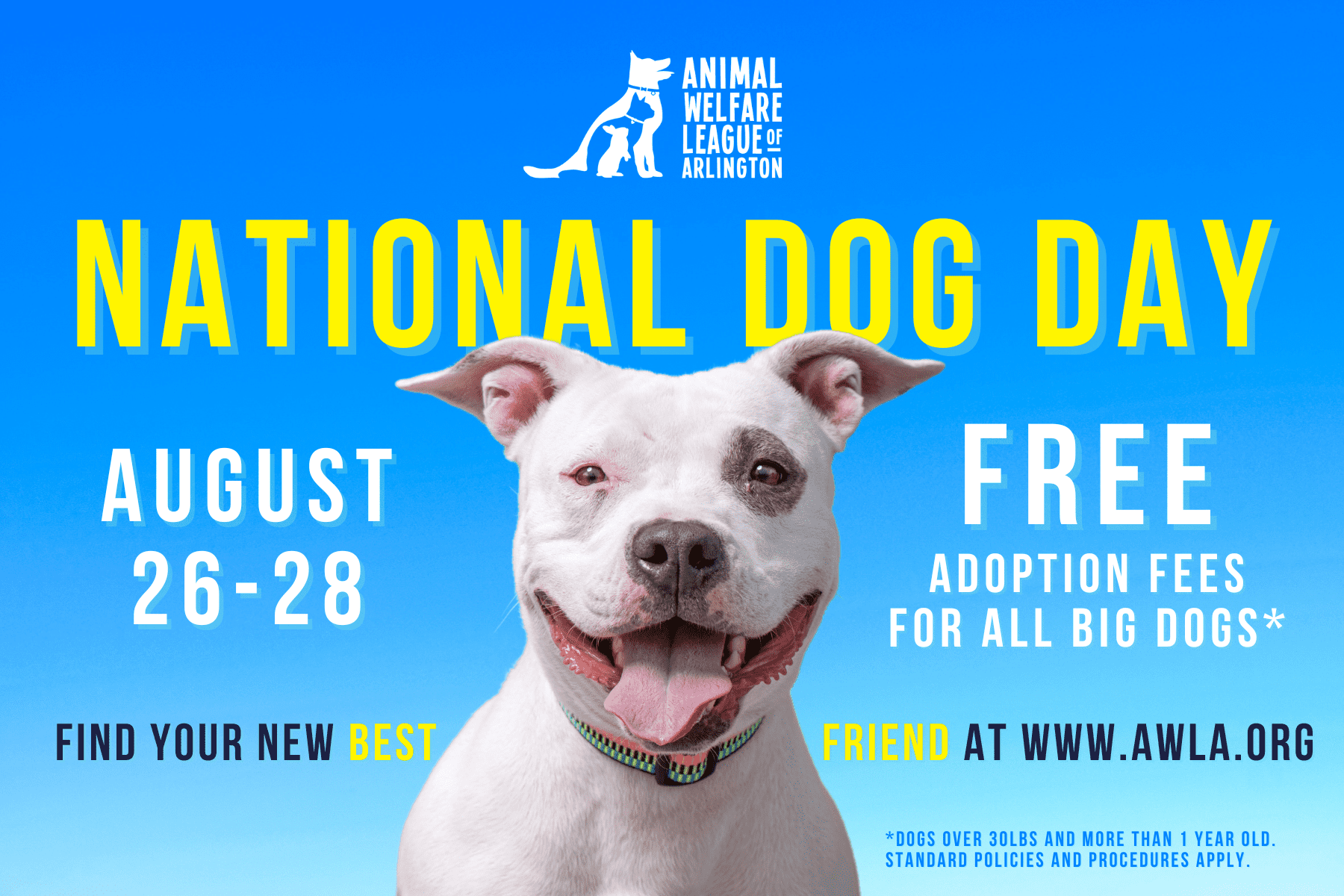 National Dog Day Adoption Event Animal Welfare League of Arlington
