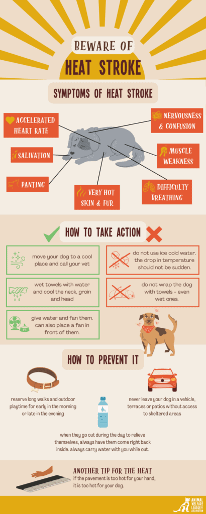 Heat Stroke Infographics - Animal Welfare League of Arlington