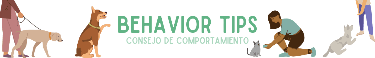 behavior tips Behavior Tips