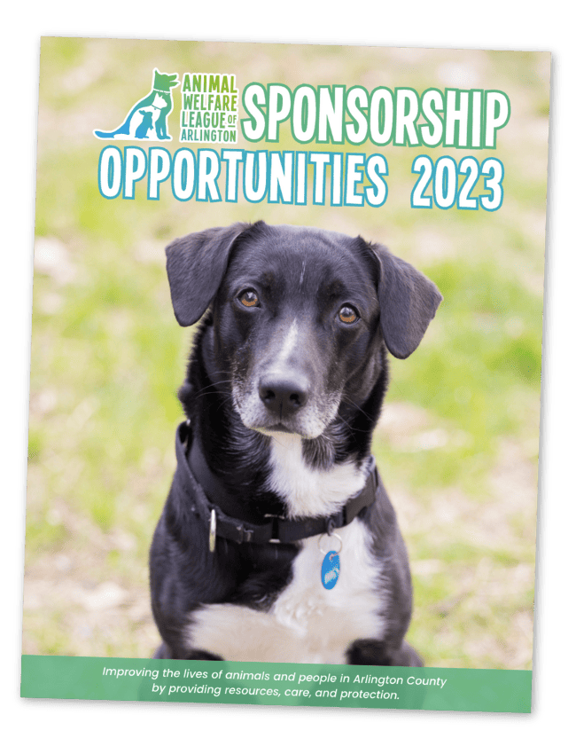 Thumbnail Sponsorship Packet