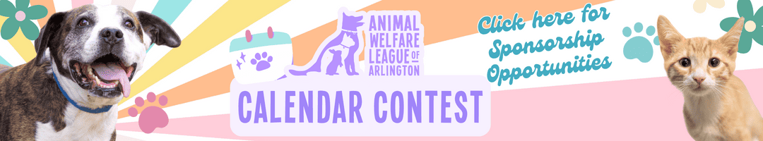 Save the Month Calendar Contest Banner (3)
