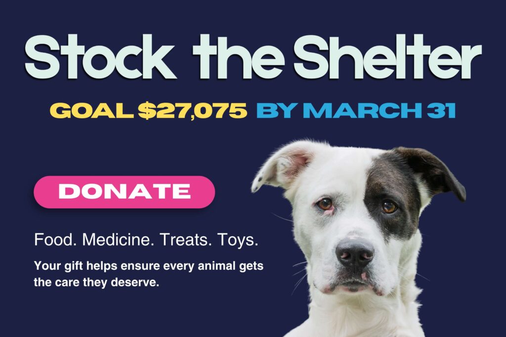Stock the Shelter Announcement - Click to Donate