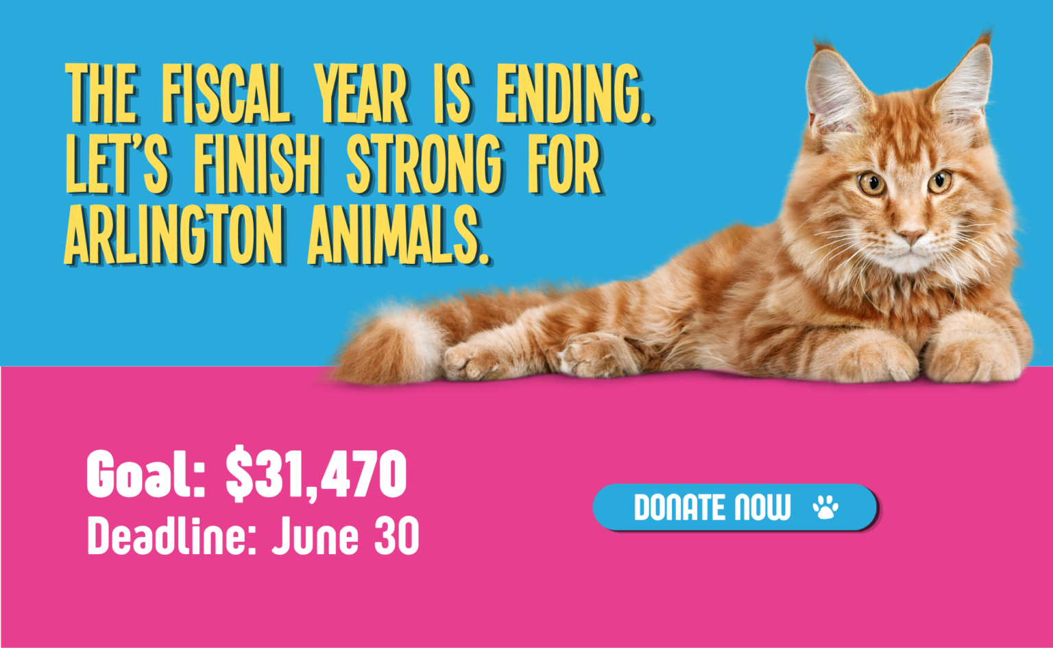 The fiscal year end is ending. Let's finish strong for Arlington Animals. 
