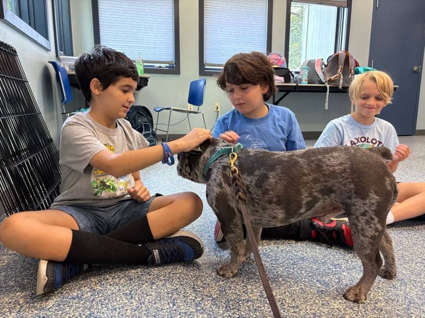 Kids petting a dog at AWLA's 1-day camp