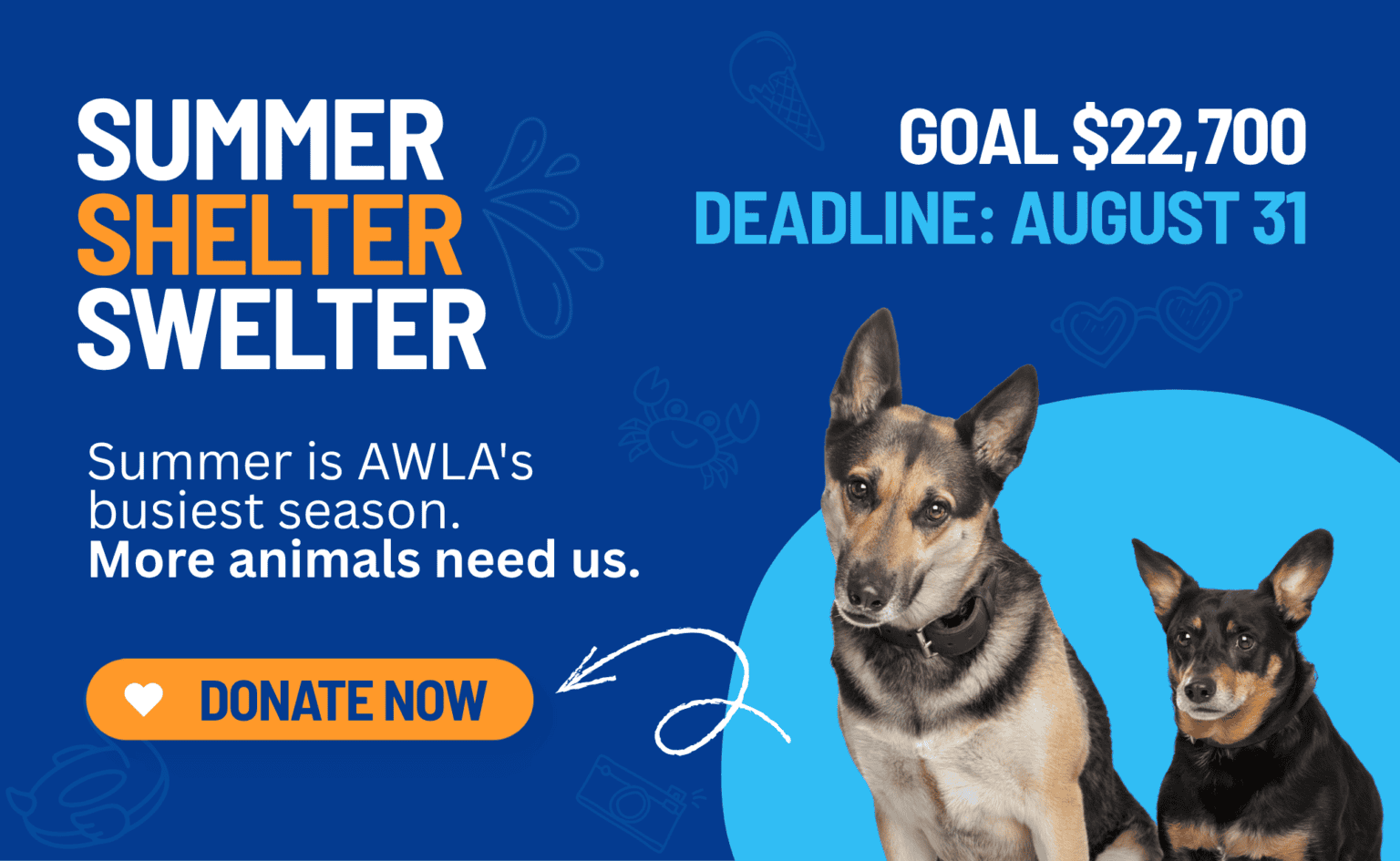 Summer is AWLA's busiest season. More animals needs us! Donate before August 31 to our Summer Shelter Swelter campaign.