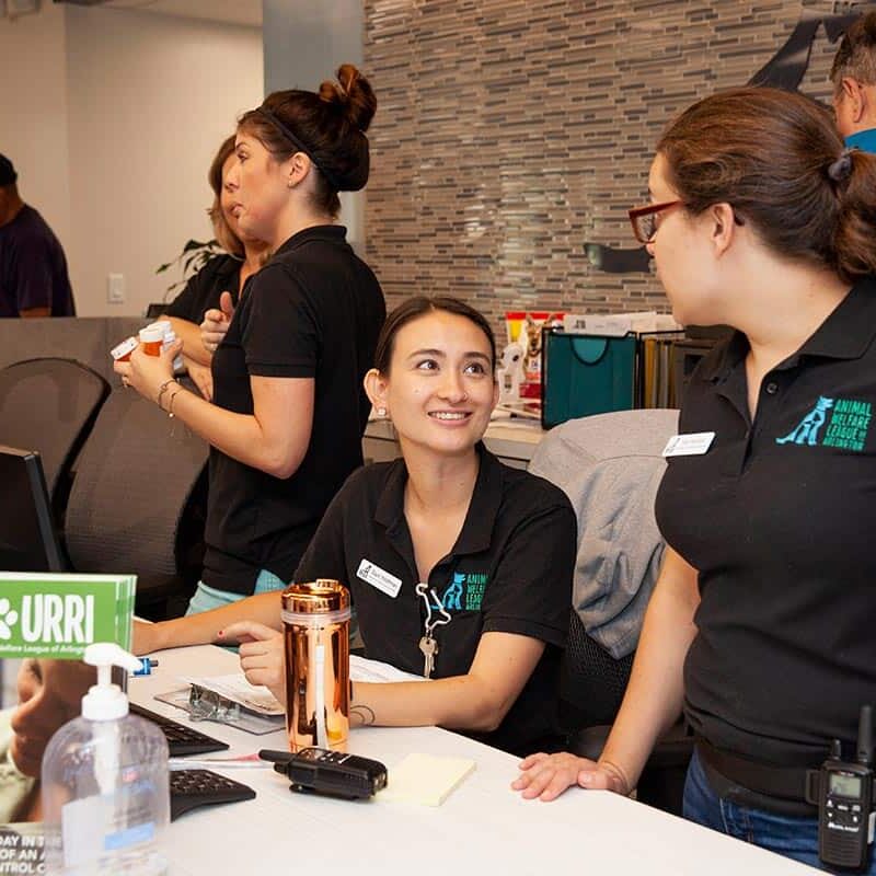 awla-staff-front-desk