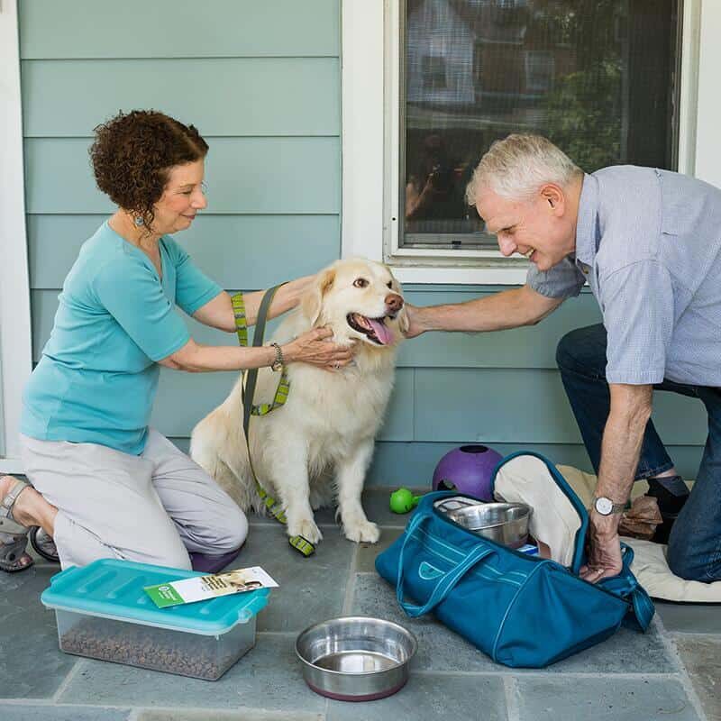 pet-preparedness_3.1 pet-preparedness_3.1